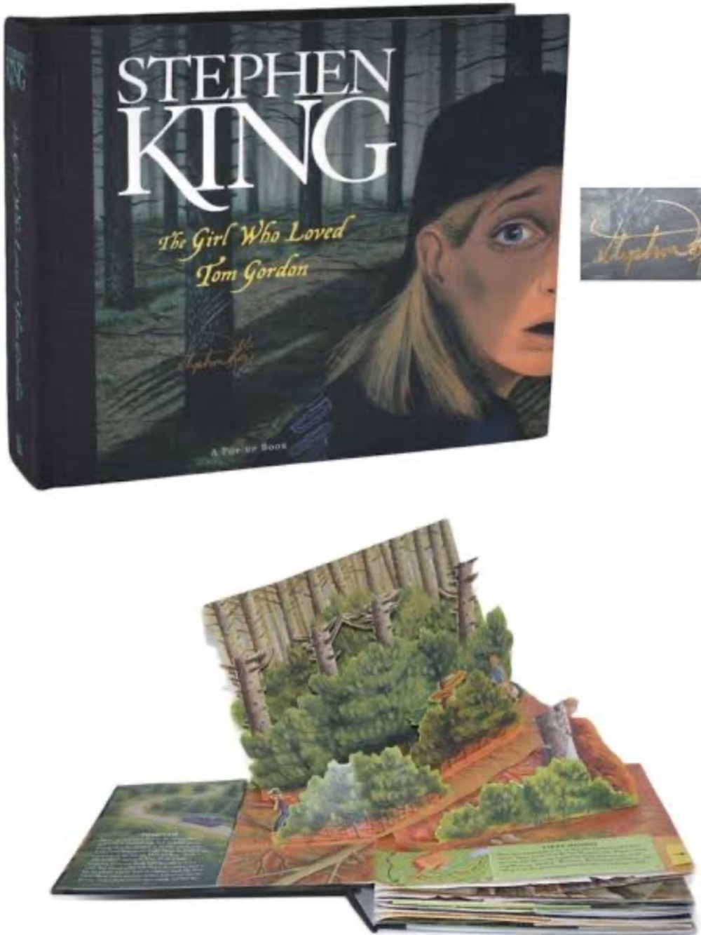 Stephen King’s “The Girl Who Loved Tom Gordon” 2004 Pop-Up Book - Rare